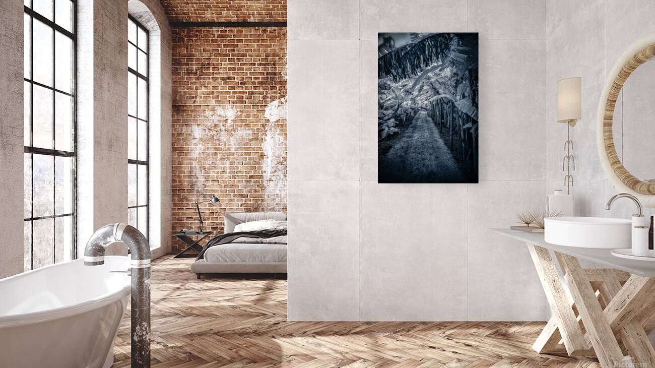 Tropical Banana Pathway Reproduction