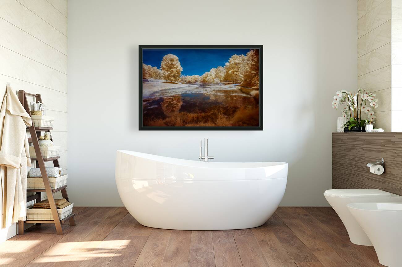 Dreamscape Reflections at Forest Lake Reproduction