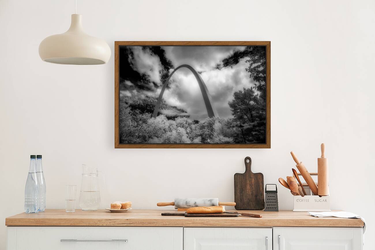 Infinite Curves in Saint Louis Reproduction