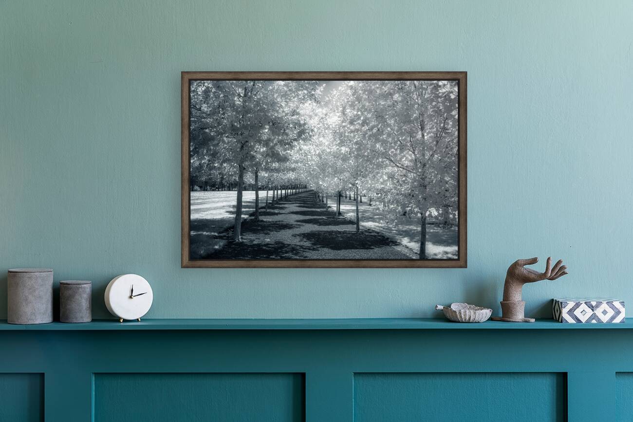 Canopy of Silent Shadows Reproduction