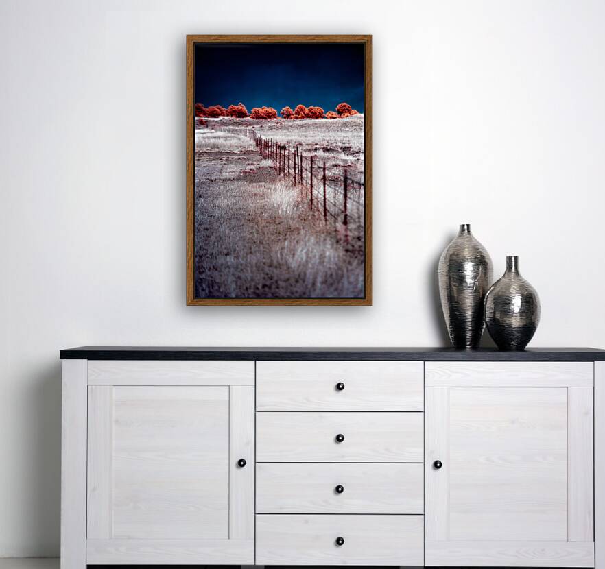 Fence Through a Surreal Horizon Reproduction