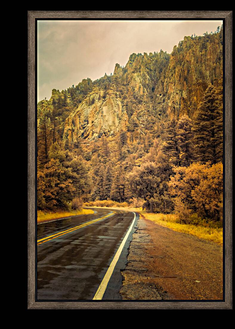 Reflections of a Rain-Kissed Road Reproduction