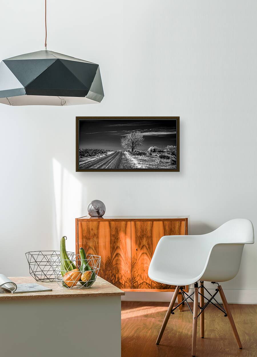 Ethereal encounters: a monochrome journey through Dawson NM Reproduction