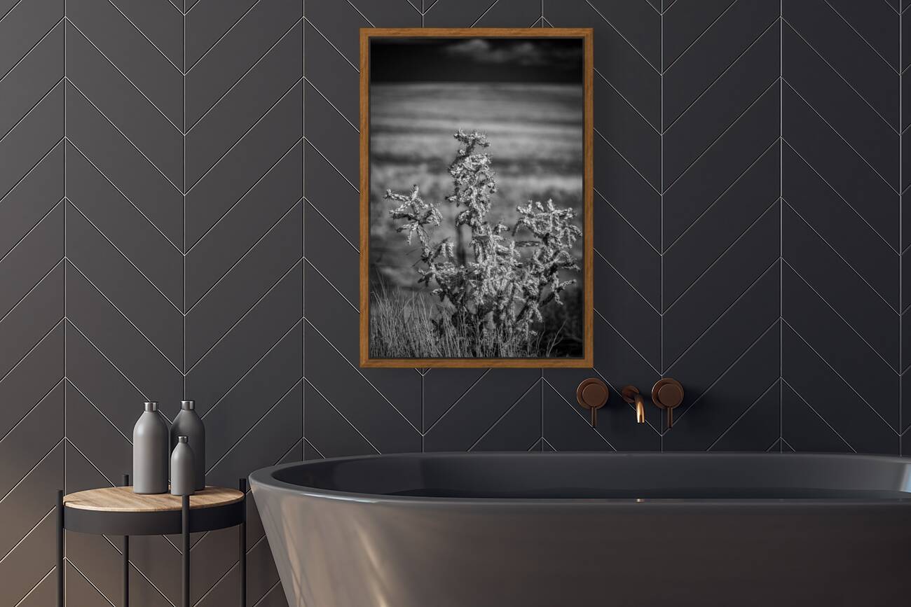 Solitude of Spine Reproduction