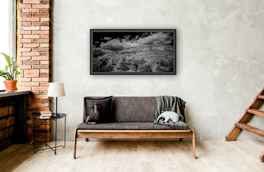 Desert Majesties in Monochrome Reproduction