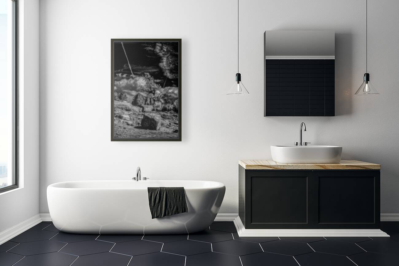 Boulder and Branch Under Silent Clouds Reproduction