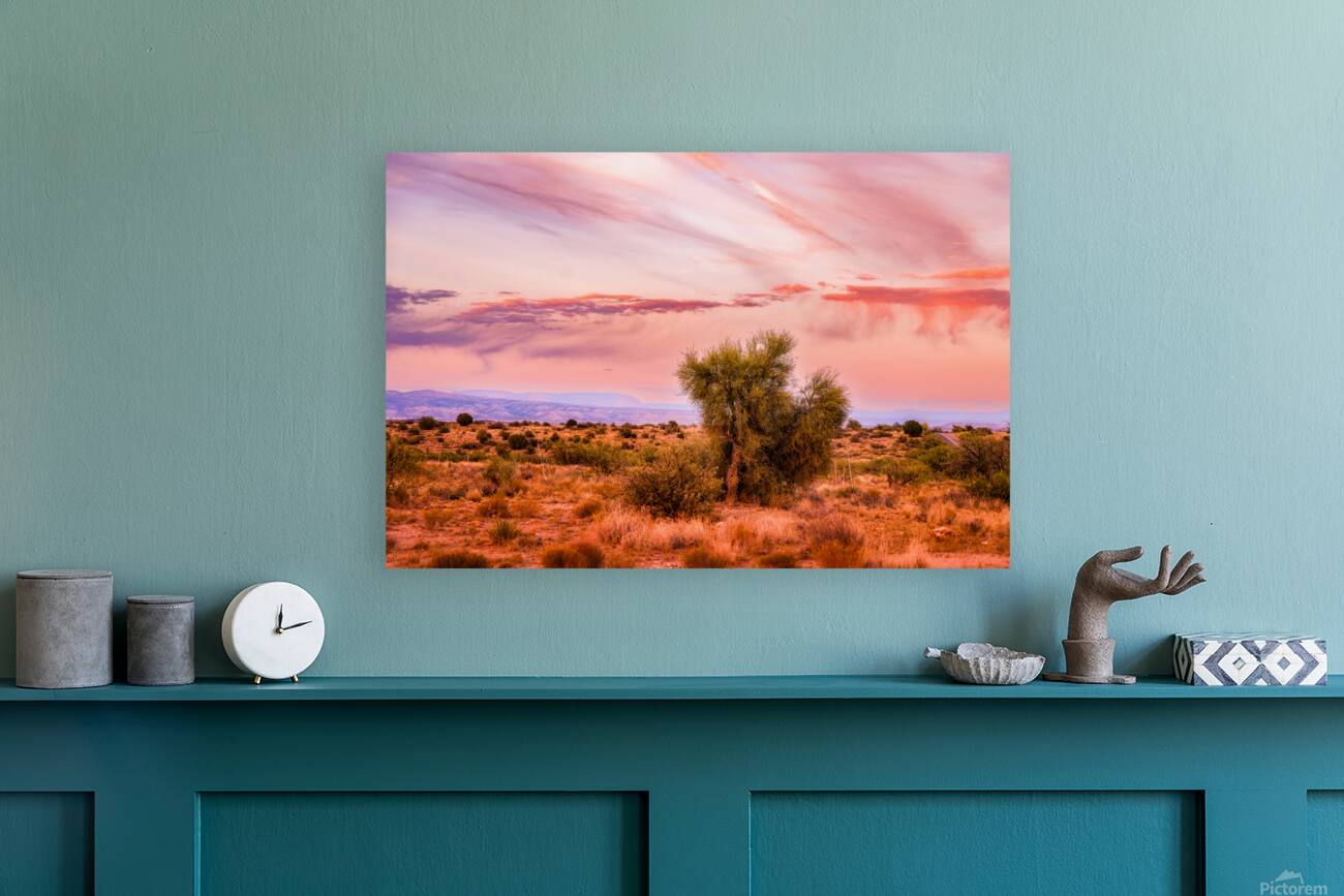 WHISPERS THROUGH THE SUNLIT CANOPY Reproduction