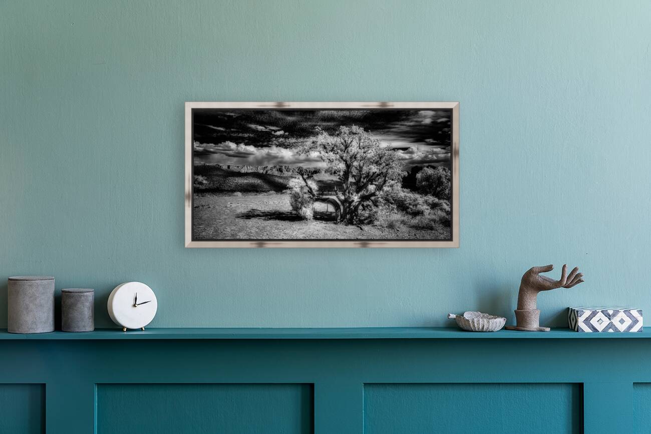 Bark and Cloud: A Monochrome Dialogue Reproduction