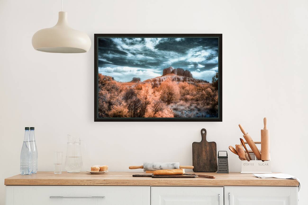 Chromatic Dance of Forest and Desert Reproduction