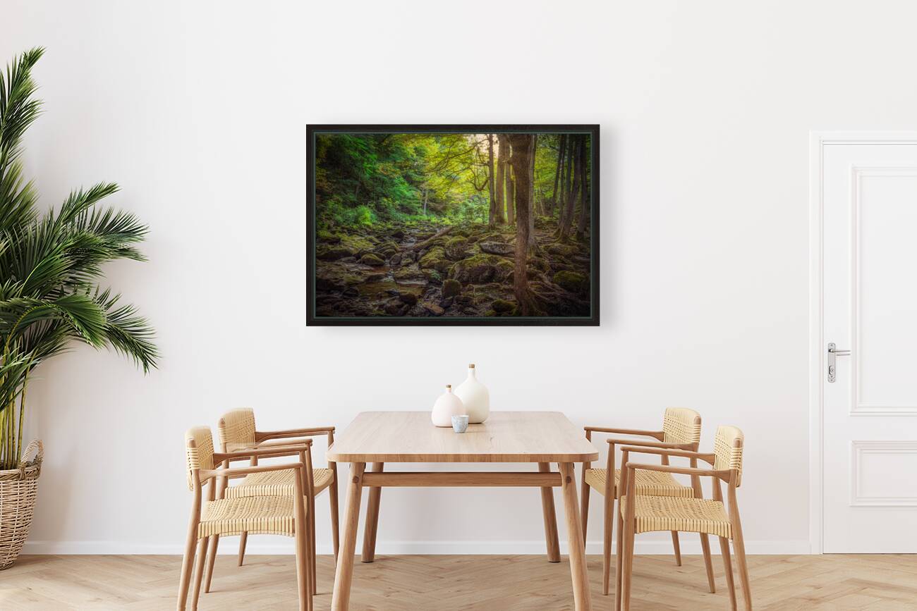 Moss Kissed Canopy Light Reproduction