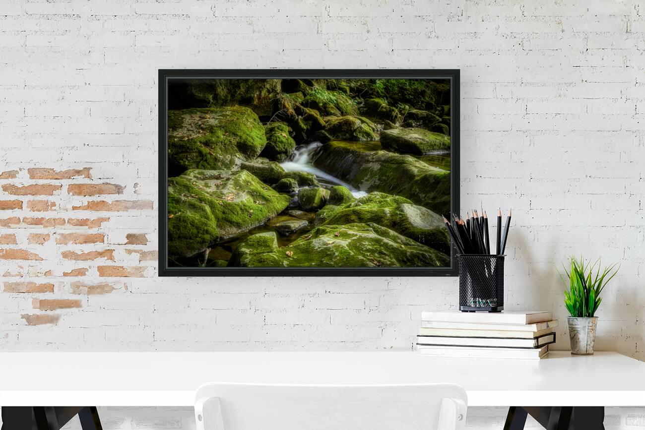 Silent Symphony of Flow Reproduction