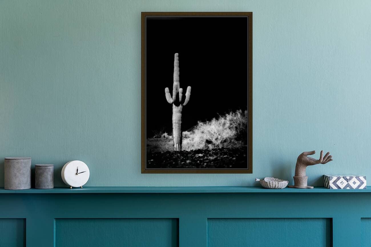 Vertical Echoes in a Desert Canvas Reproduction