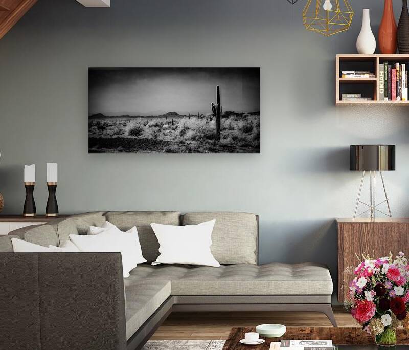 Desert Stillness Reproduction