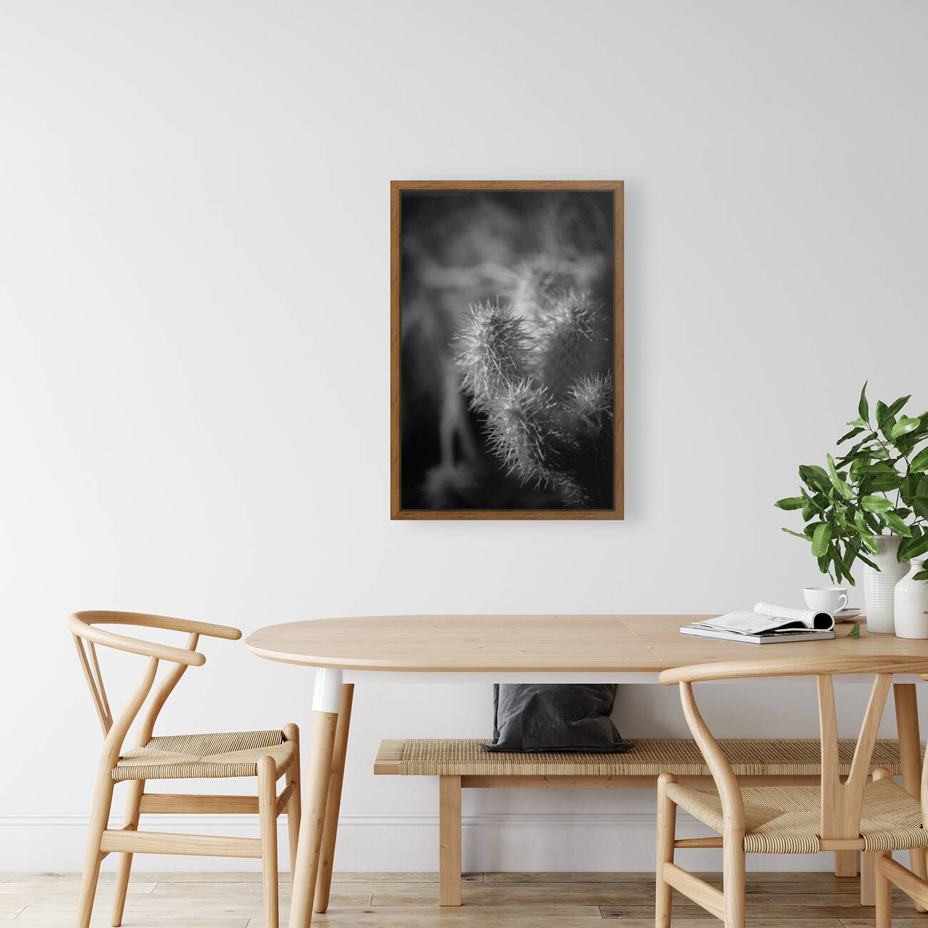 Textures of Thorn and Light Reproduction