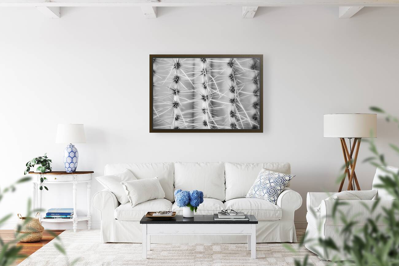 Symmetry in Spine Reproduction