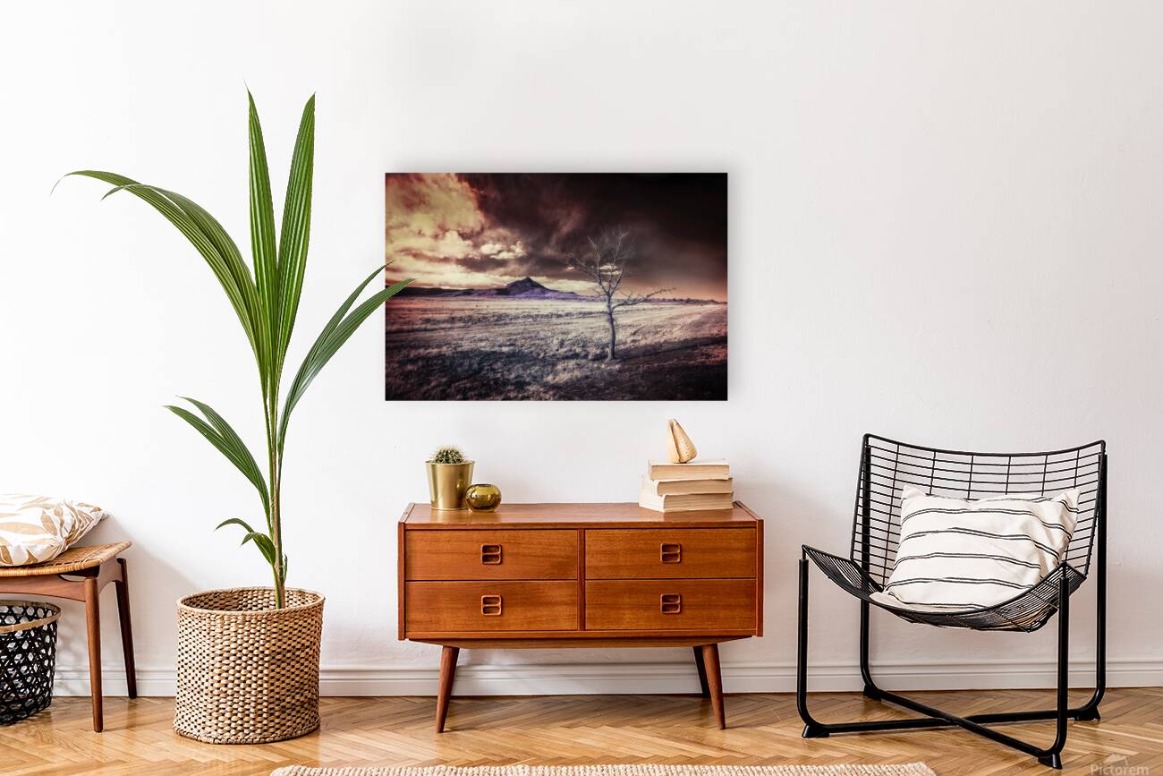 Otherworld in New Mexico Reproduction