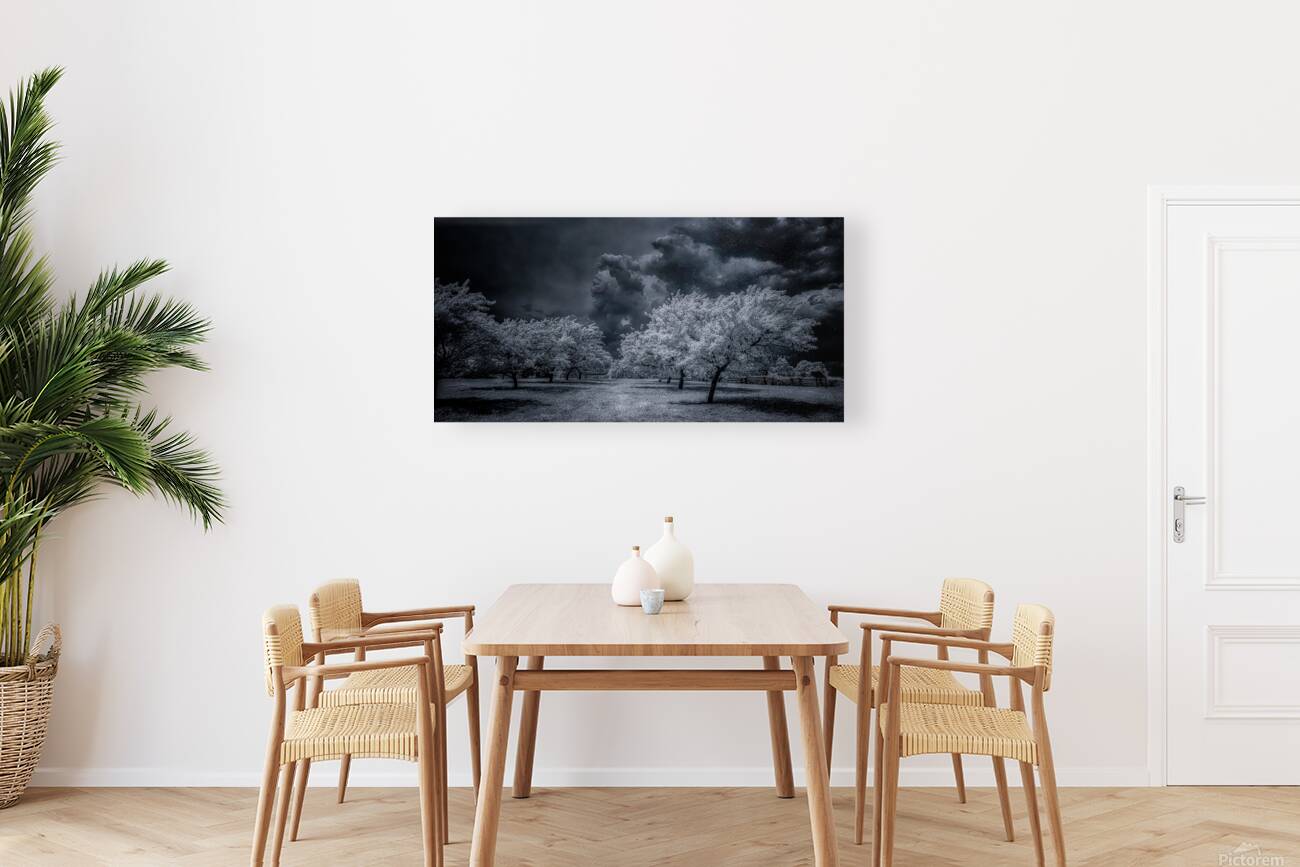 Illumination in Turmoil Reproduction