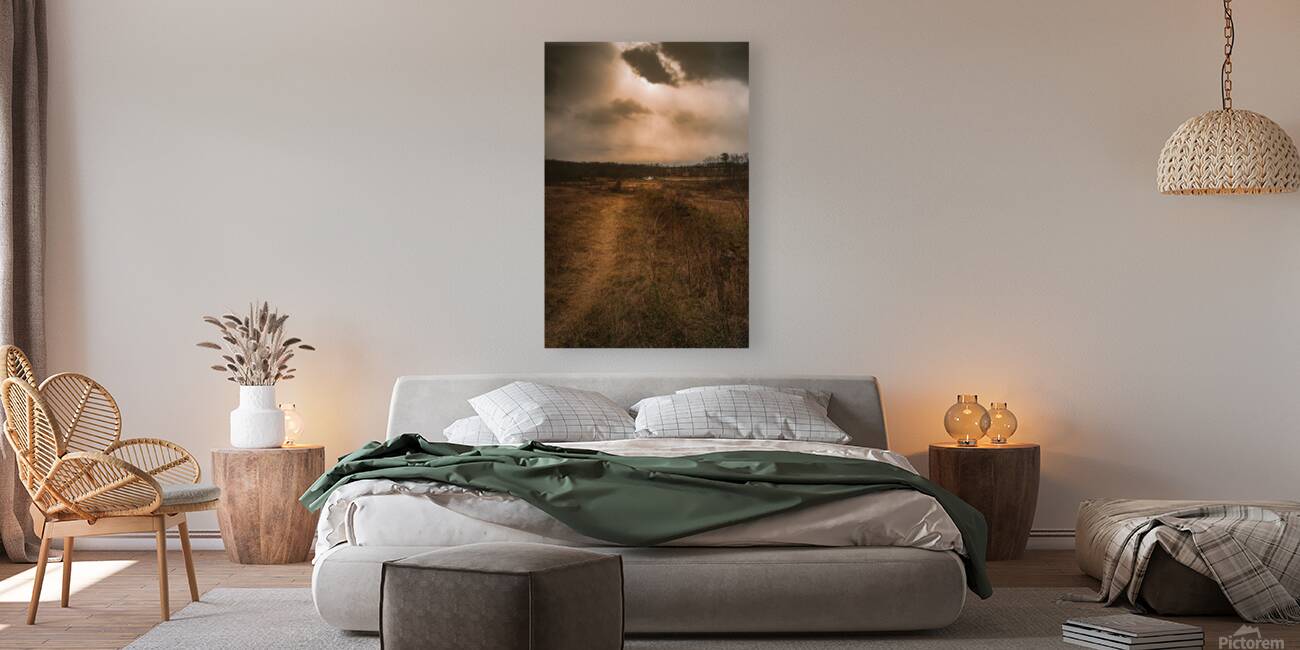 Hazel Row Reproduction