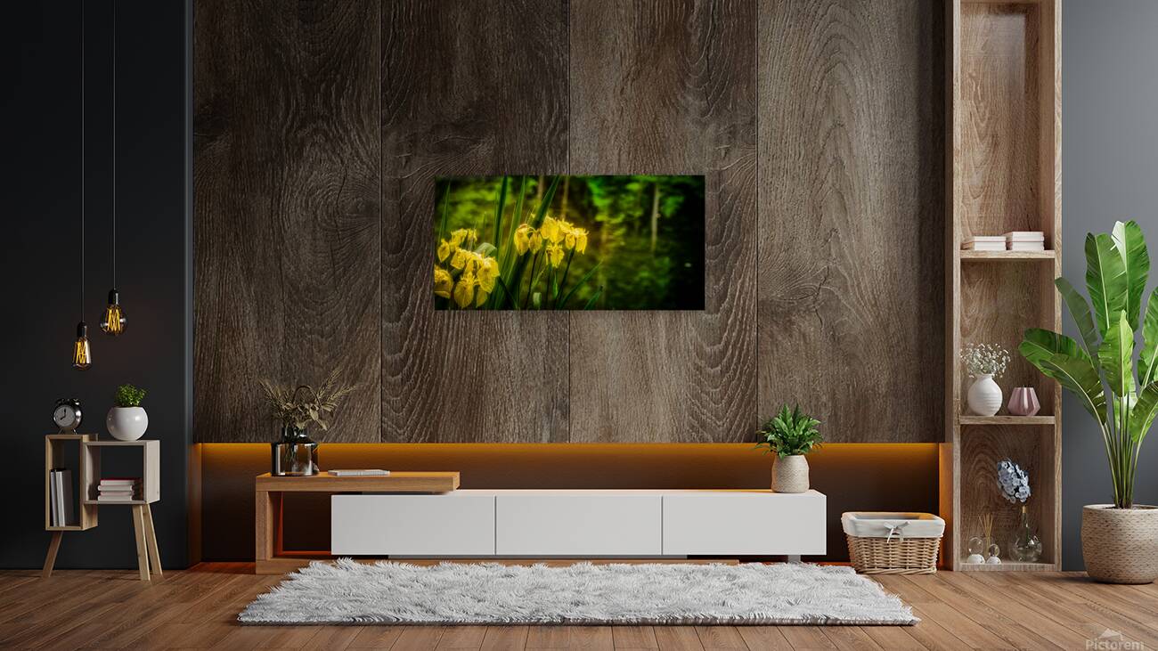 Sun Kissed Blooms: Michaux Forests Yellow Flowers by Small Pond Reproduction