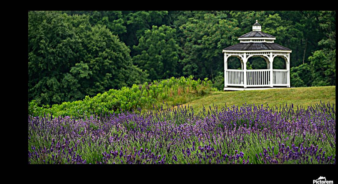 Lavender Gazebo Reproduction