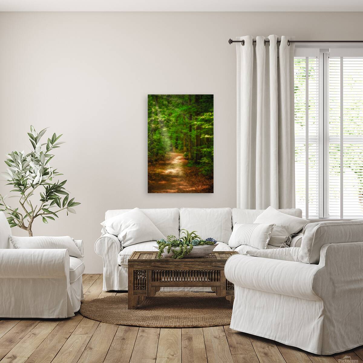 Solitary Trails: Rays on a Path at Killens Pond State Park Reproduction