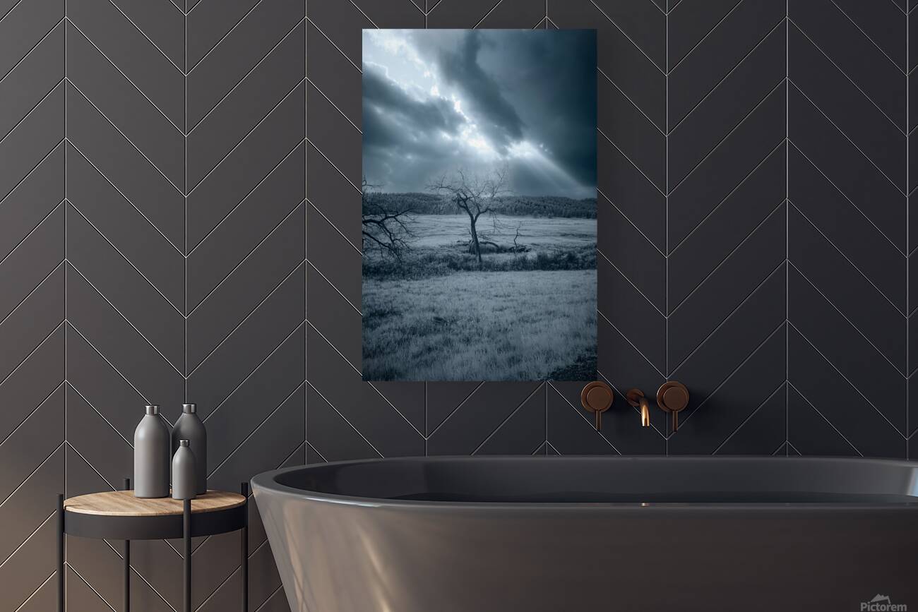 Solace in Solitude: A Blue Lighted Tree in Infrared Reproduction