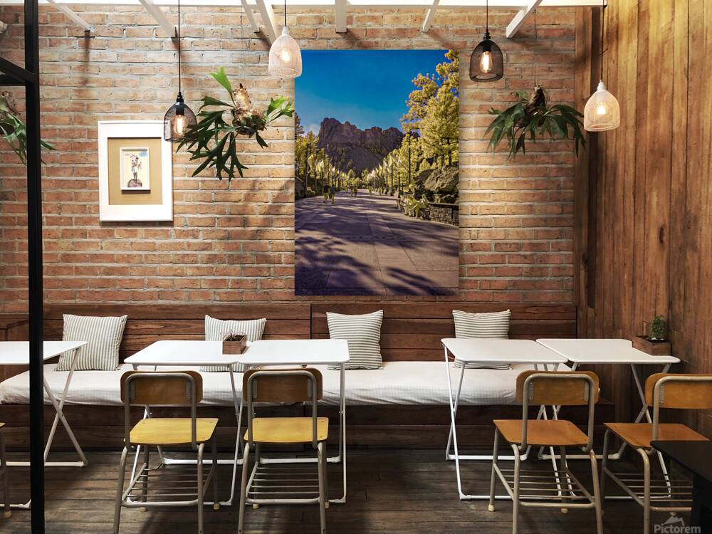 State Flags Row: Infrared Gaze at Mount Rushmore Reproduction