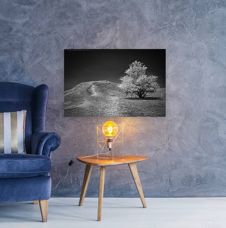 Silent Beauty: Navigating the Badlands with My Companions Reproduction