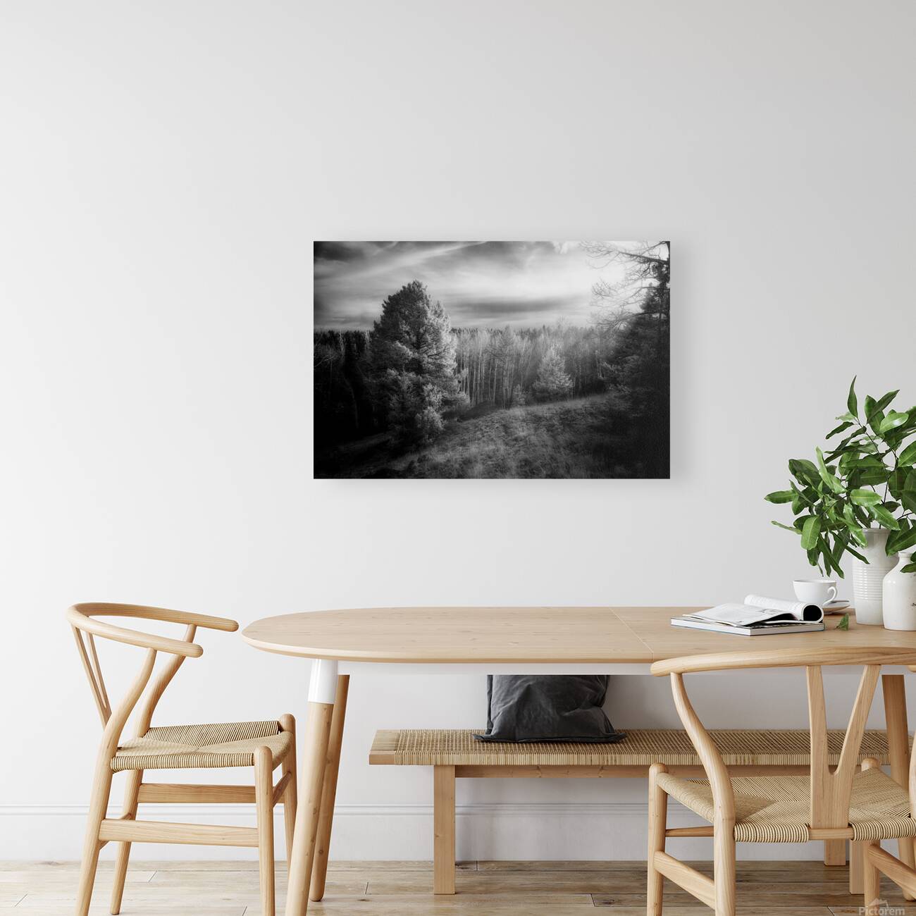 Mueller Aspen Series: Natures Finale Reproduction