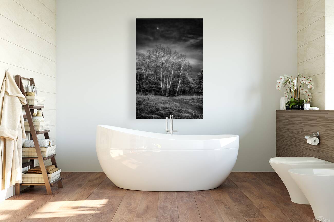 Mueller Aspen Series: Aspen Moon Reproduction