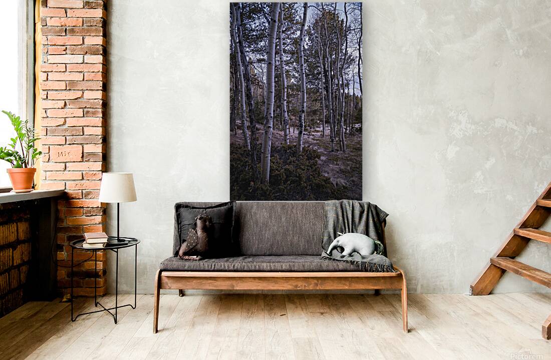 Mueller Aspen Series: Aspen Tree Trail Reproduction