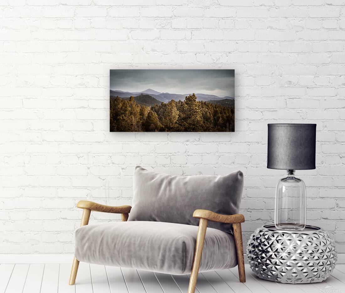 Mueller Aspen Series: Mountain View Reproduction