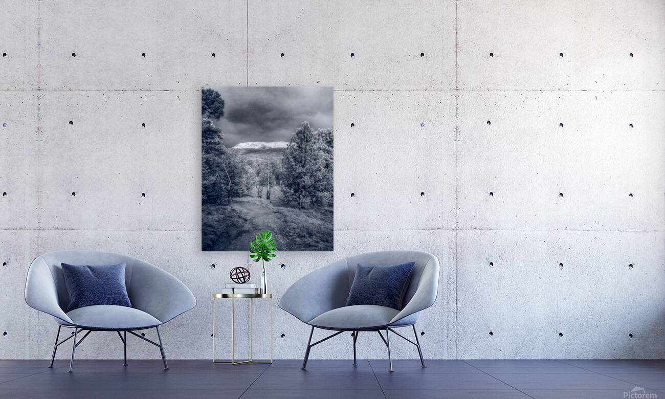 Mueller Aspen Series: Mountain Trail Tranquility Reproduction