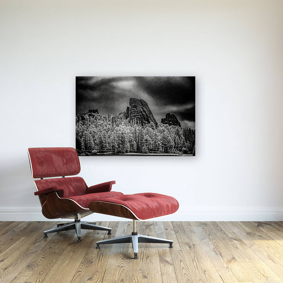 Sylvan Shadows: A Moody Encounter with Natures Drama in Custer  Reproduction