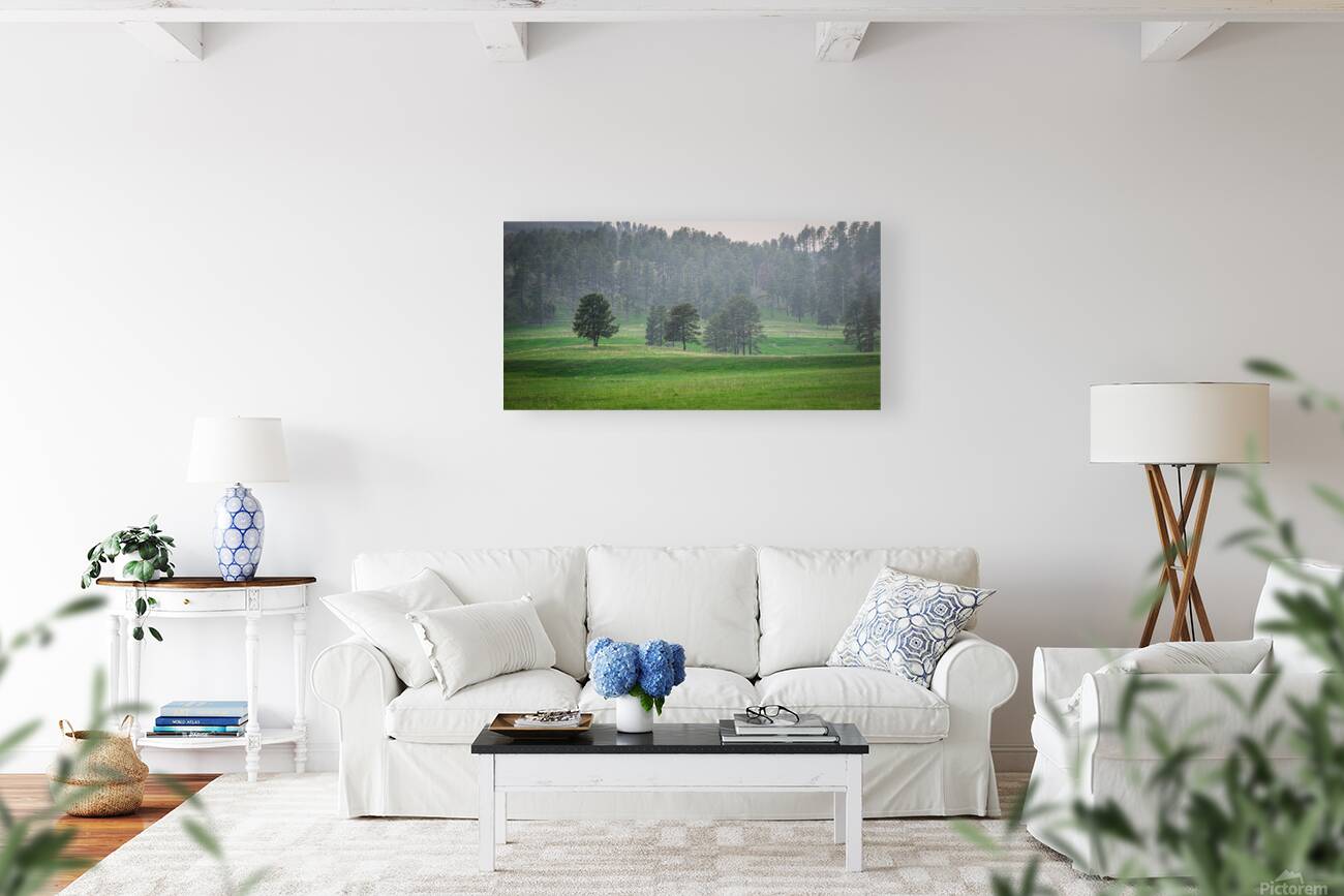 Serene Countryside Dreams Reproduction