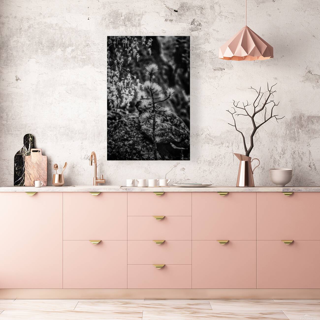 Exploring Sylvan Lake: A Magical Encounter with a Tiny Pine Reproduction