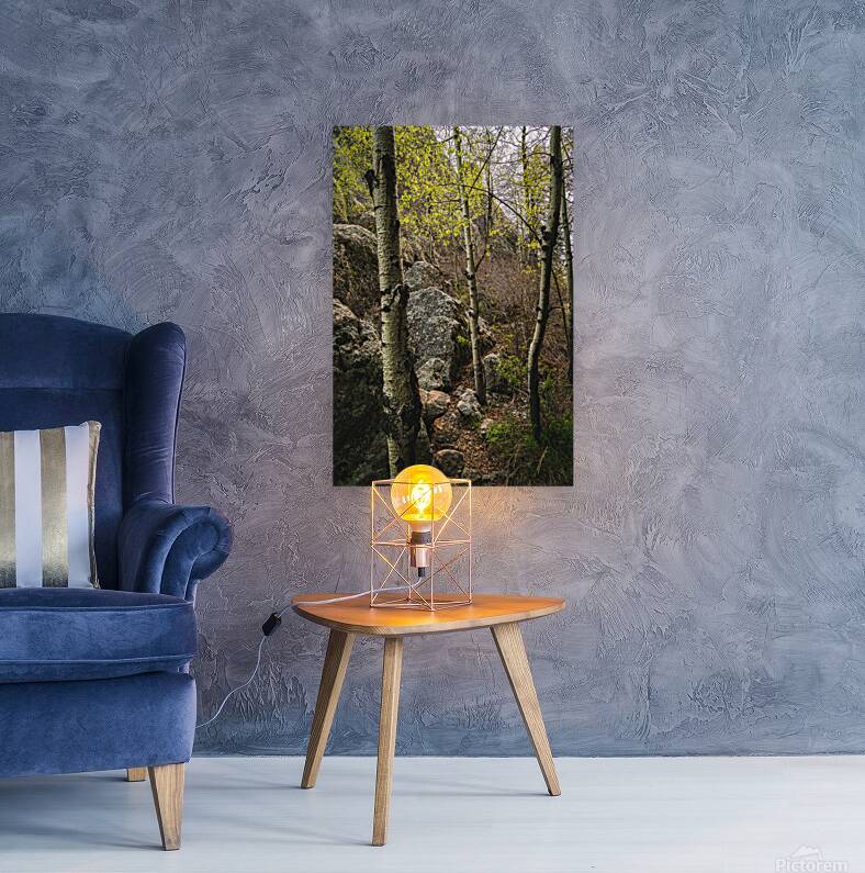 Discovering Hidden Beauty: Aspen Grove Behind the Lake Reproduction