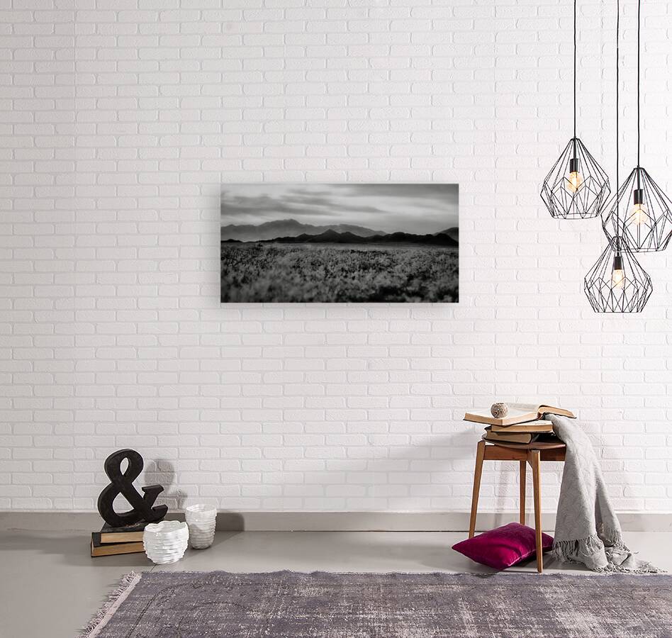 Waves of Solitude Across the Arid Horizon Reproduction