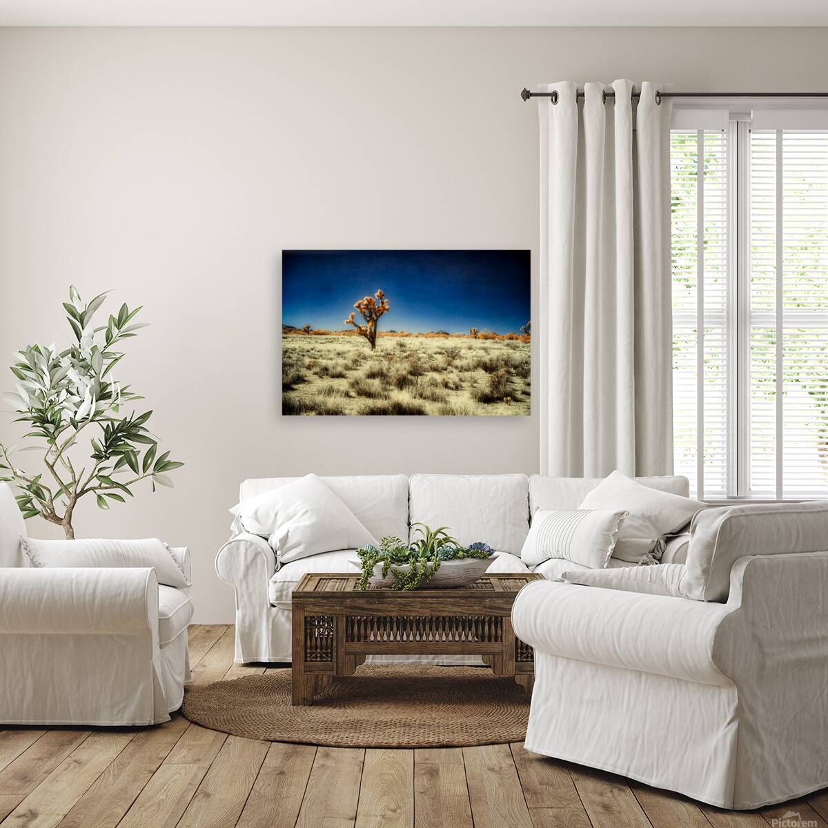 Lone Arboreal Ode in Desert Hues Reproduction