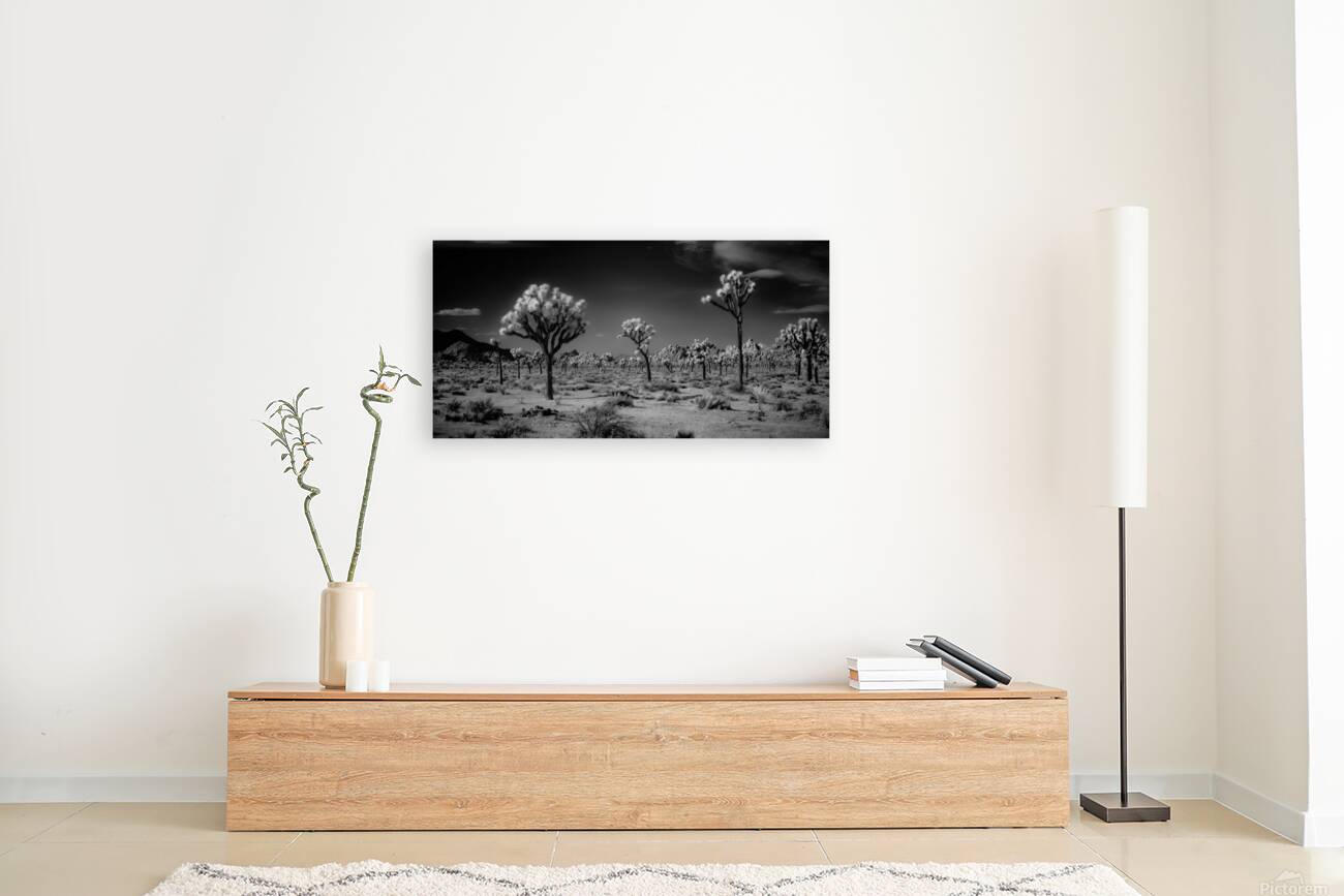 Ghostly Terrain Under Infinite Sky Reproduction