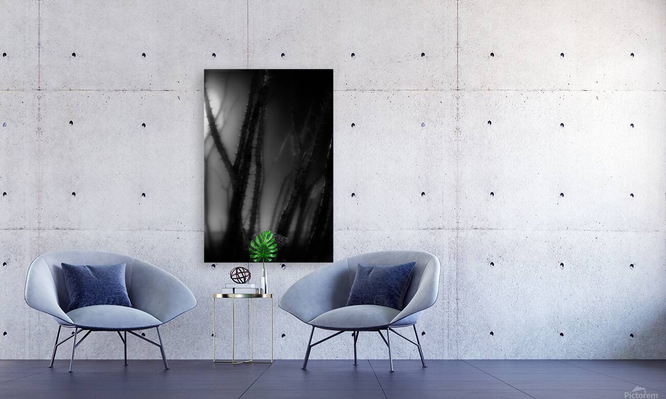 Shadows Weave Through Thorned Spire Reproduction