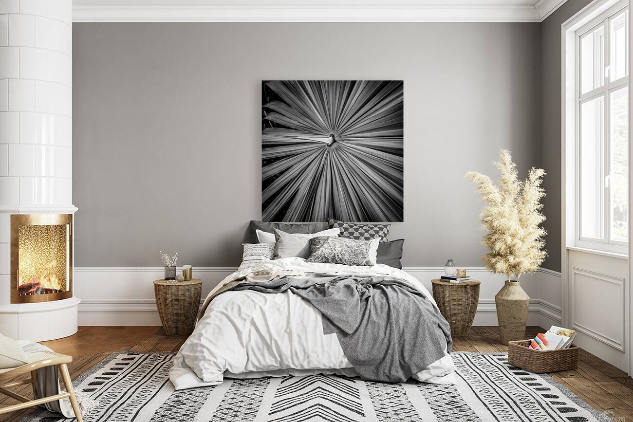 Palm Symmetry Elegance Reproduction