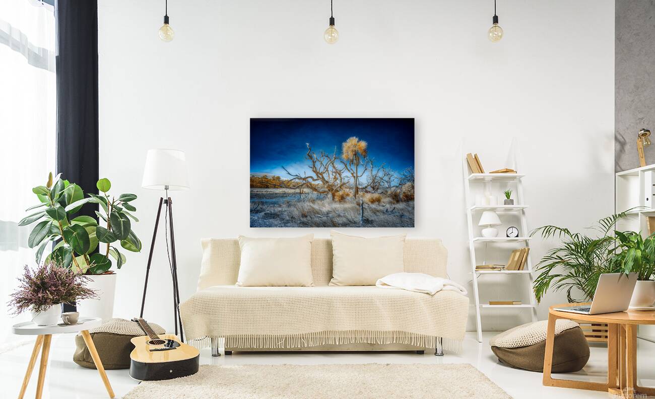 Isolated Serenity: Rows End Reproduction