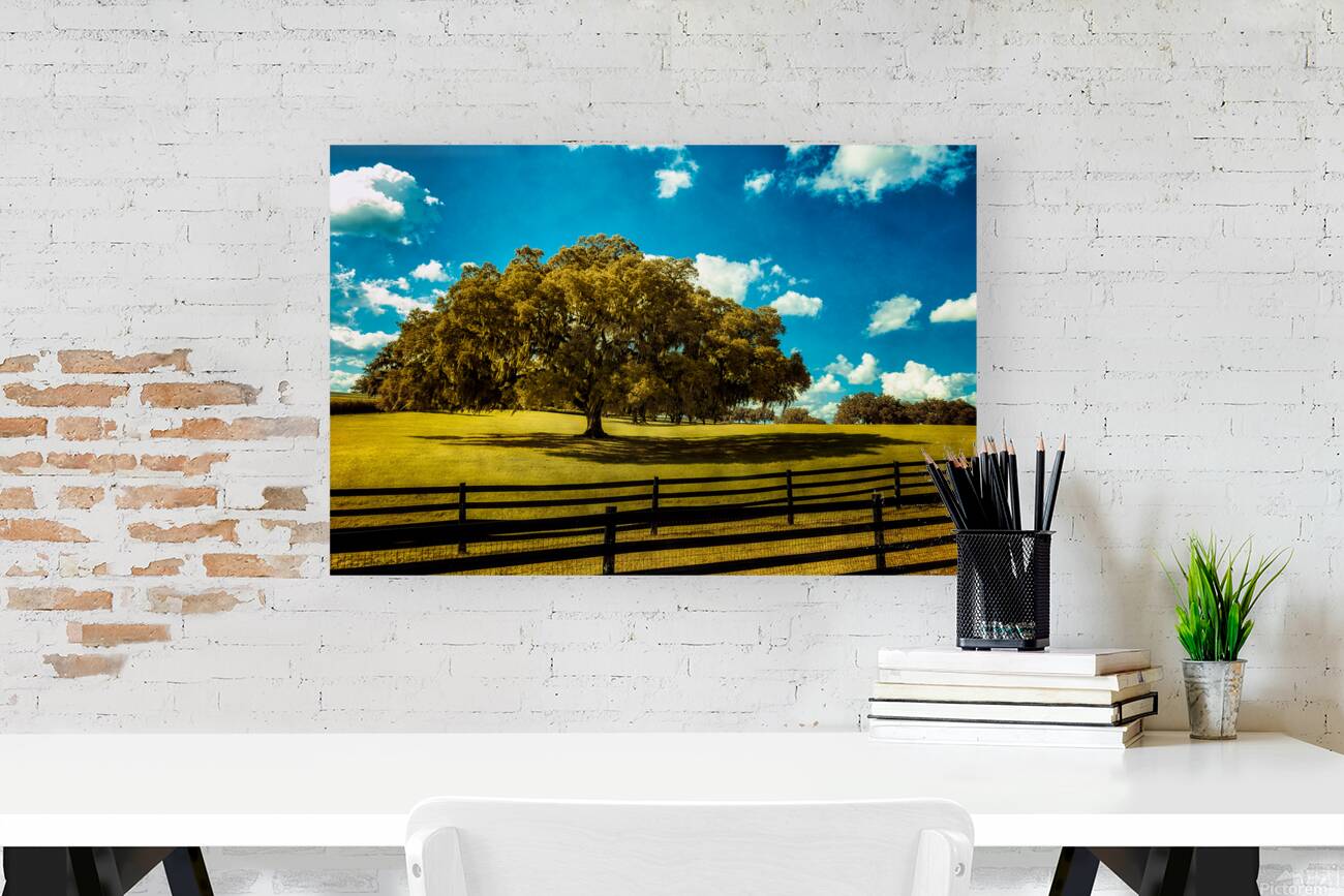 Majestic Oak: Exploring Ocalas Enchanting Back Roads Reproduction