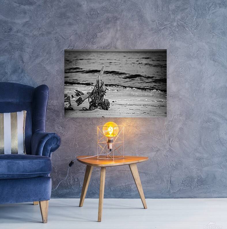 Driftwood Rhapsody on Serene Sands Reproduction