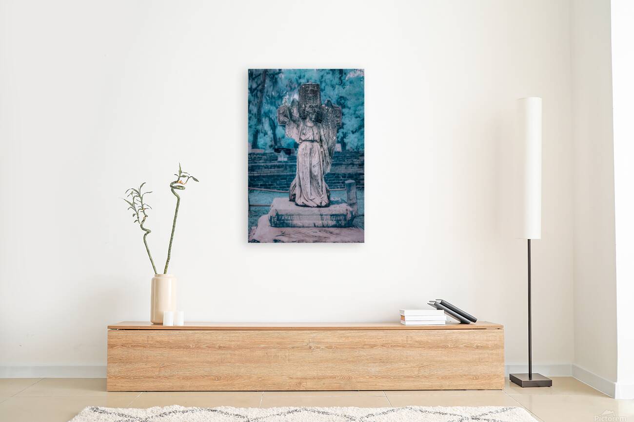 Rainy Day Reflections: Exploring Oak Grove Cemetery Reproduction