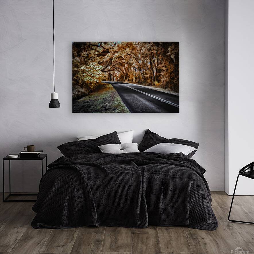 Ocala Secret: Infrared Curve Reproduction