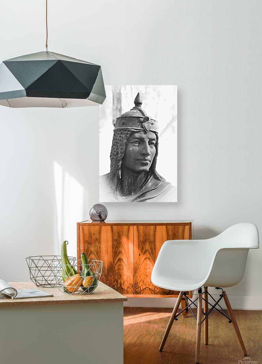 Southern Sentinel Reproduction