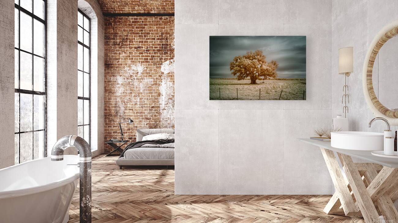 Southern Sentinel: Live Oaks Dream Reproduction