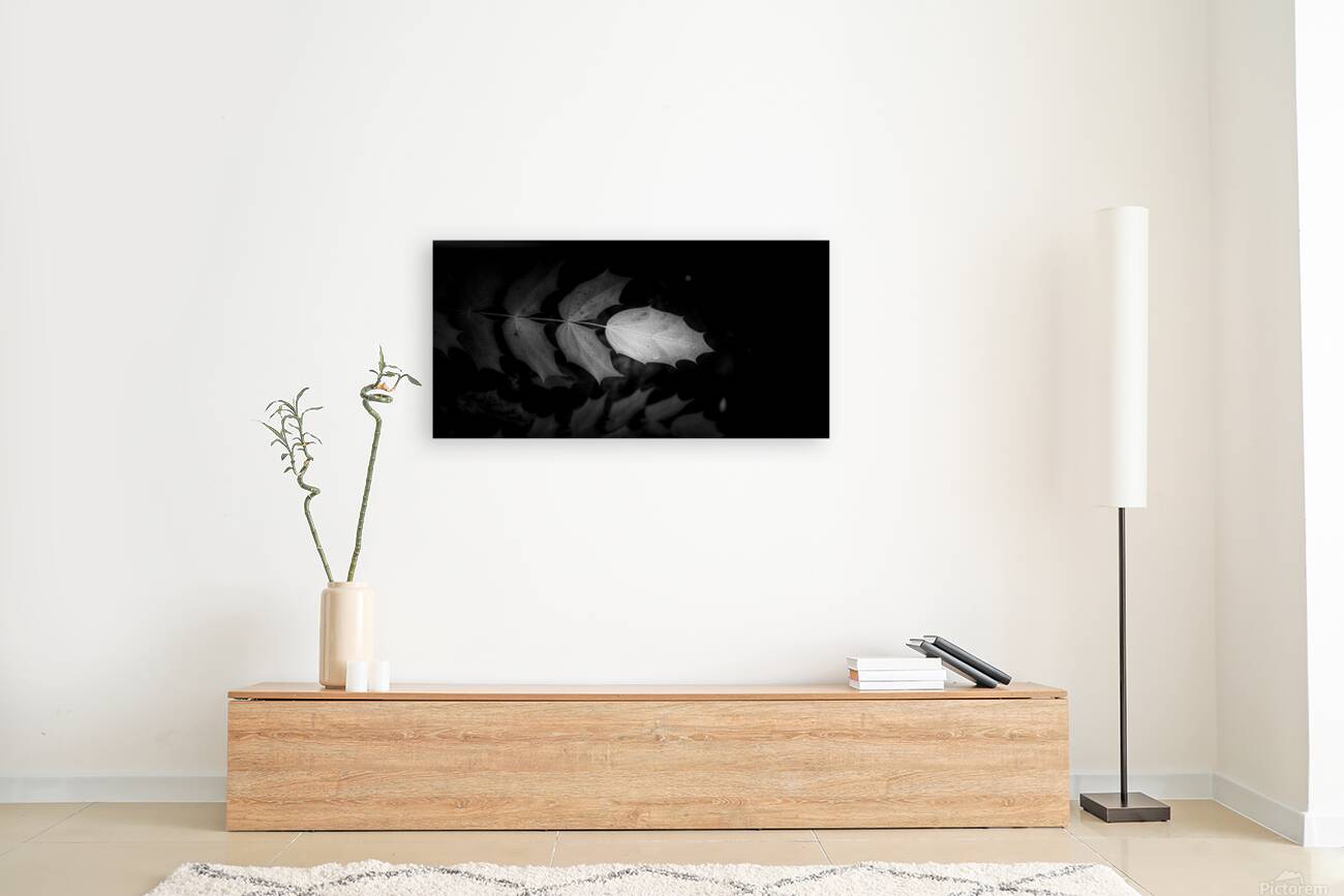 Spotlight on Natures Simplistic Beauty Reproduction